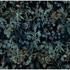 Mysterious Forest | Dark Enchanted Landscape Mural for Serene Wallpaper Mural