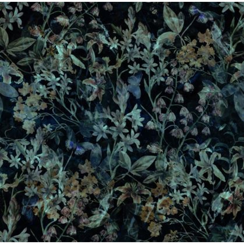 Mysterious Forest | Dark Enchanted Landscape Mural for Serene Wallpaper Mural