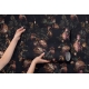 Vibrant Botanical Garden | Lush Tropical Jungle  Wallpaper Mural