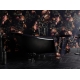 Vibrant Botanical Garden | Lush Tropical Jungle  Wallpaper Mural