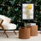 Tropical forest, Exotic butterflies and moths, Realistic botanical Wallpaper 