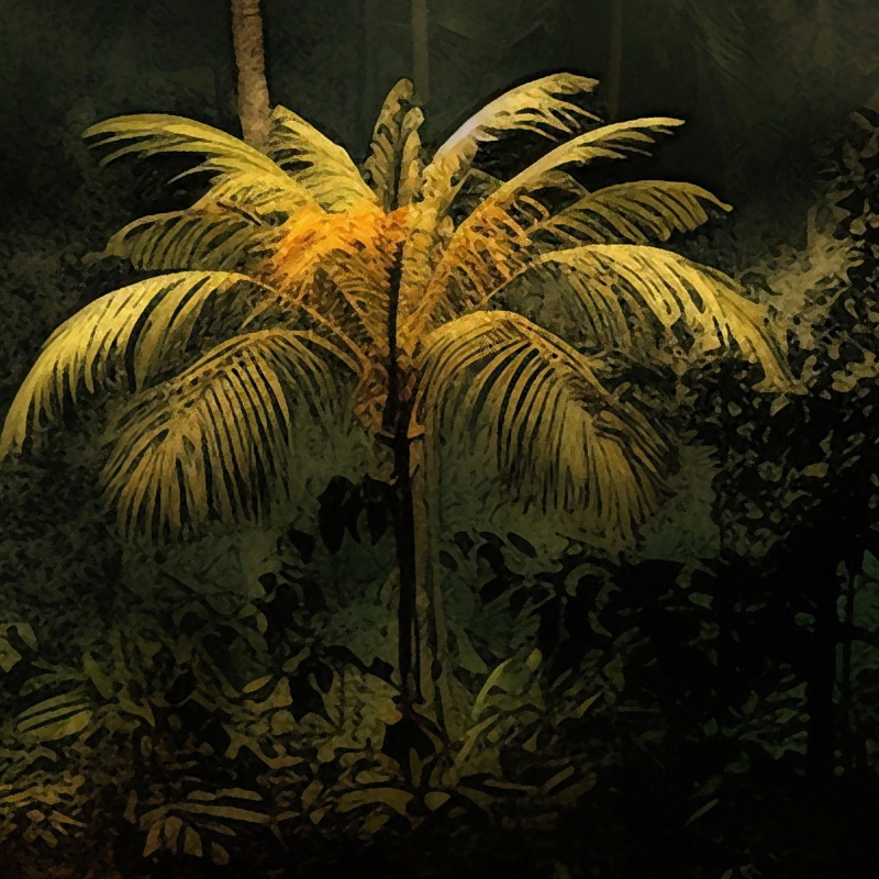 Abstract Tropical wallpaper, Leaves, tropical, forest, palm wallpaper, green tropical leaves, Peel and Stick, temporary wallpaper