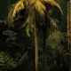 Abstract Tropical wallpaper, Leaves, tropical, forest, palm wallpaper, green tropical leaves, Peel and Stick, temporary wallpaper