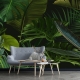 Tropical Green Leaves, Tropical Wallpaper, Peel and Stick, Jungle Wallpaper, Temporary Wallpaper