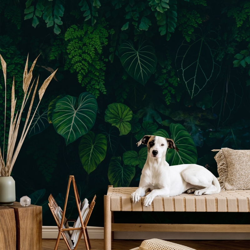 Tropical Monstera Leaves Wallpaper, Dark Forest Peel and Stick wallpaper, green tropical leaves, Peel and Stick, temporary wallpaper
