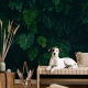 Tropical Monstera Leaves Wallpaper, Dark Forest Peel and Stick wallpaper, green tropical leaves, Peel and Stick, temporary wallpaper