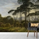 Umbrella Pines Wallpaper, Forest Wallpaper, Peel and Stick, Removable Wallpaper