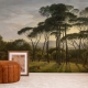 Umbrella Pines Wallpaper, Forest Wallpaper, Peel and Stick, Removable Wallpaper
