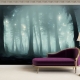 Mysterious foggy Forest Wallpaper, Deep Forest, Mystic Forest Wall Mural