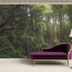 Forest Wallpaper, Peel and Stick, Removable Wallpaper