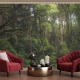 Forest Wallpaper, Peel and Stick, Removable Wallpaper