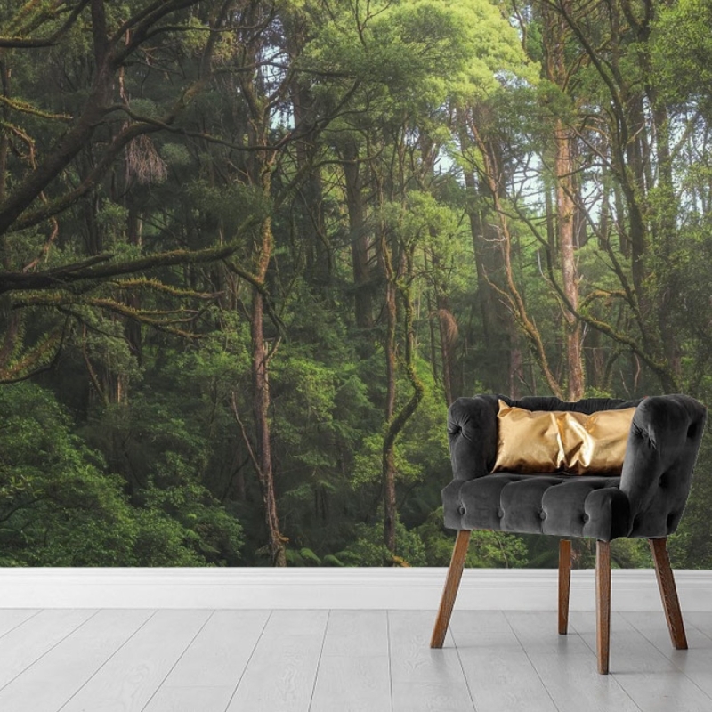 Forest Wallpaper, Peel and Stick, Removable Wallpaper