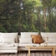 Forest Wallpaper, Peel and Stick, Removable Wallpaper
