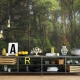 Forest Wallpaper, Peel and Stick, Removable Wallpaper