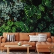 Large tropical leaves, green leaves, dark forest, rainforest background, peel and stick, temporary wallpaper