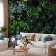 Large tropical leaves, green leaves, dark forest, rainforest background, peel and stick, temporary wallpaper