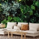 Large tropical leaves, green leaves, dark forest, rainforest background, peel and stick, temporary wallpaper
