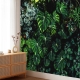 Large tropical leaves, green leaves, dark forest, rainforest background, peel and stick, temporary wallpaper